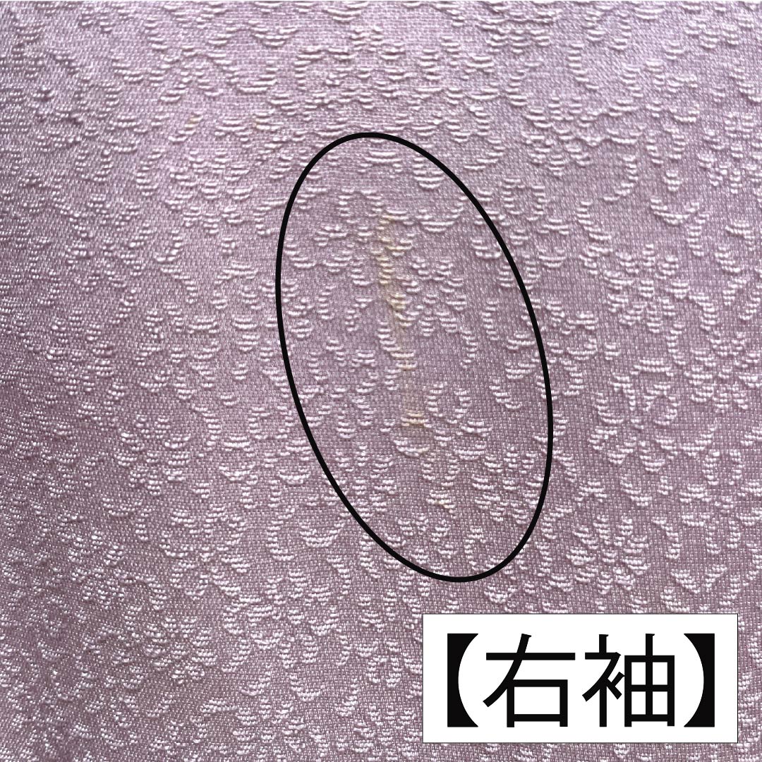 訪問着 正絹 Bランク 袷 身丈165.5cm 裄丈67.5cm 淡紅藤色(うすべにふじいろ) 付下げ 草花 紫系 1112007404520