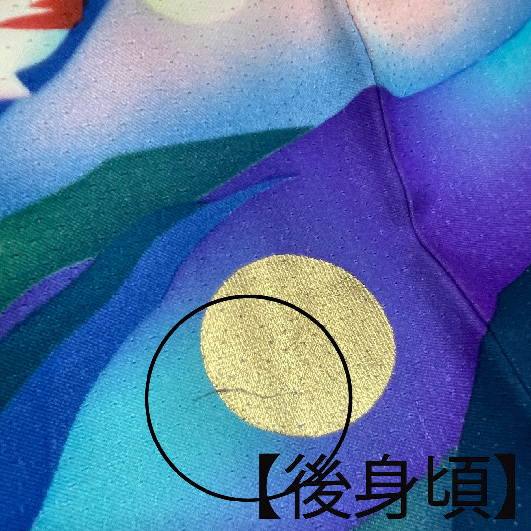 振袖 身丈176.5cm 裄丈64cm 袷 瑠璃色 花鳥模様 正絹 Bランク 紺系 1113001484818