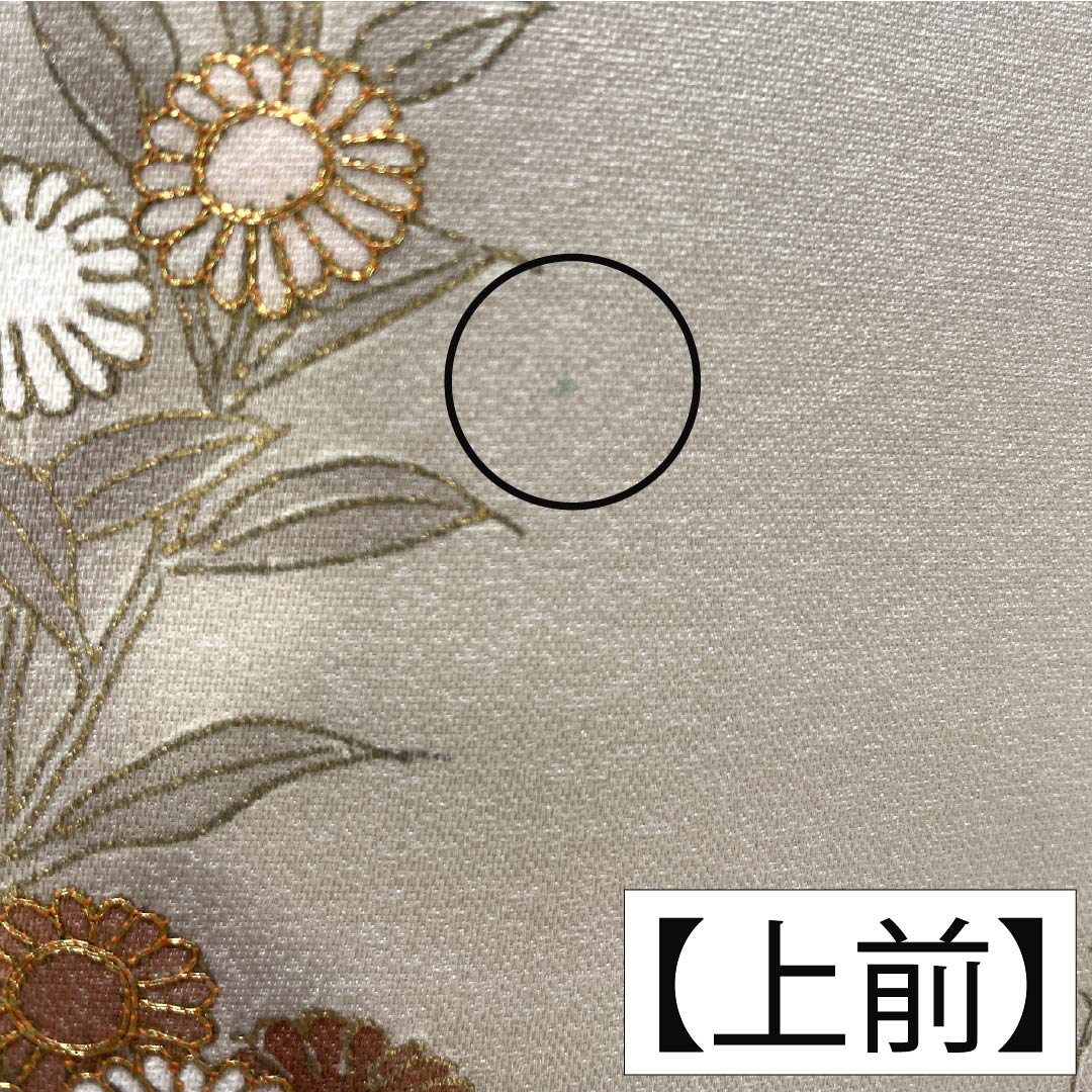 Visiting Kimono, Pure Silk, Grade A, Lined, Length 165.5cm, Sleeve Length 64cm, Tonokoiro (Tonokoiro) Kyoto Yuzen, with a Beige Design of Japanese Pampas Grass, Flowers, and Hagi (Japanese Bush Clover) Item Number: 1112007253525