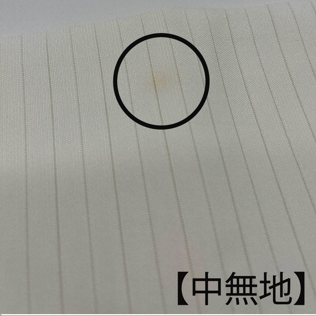名古屋帯 白色 夏帯 絽 牡丹 染帯 帯丈373cm 正絹 Bランク ポイント柄 カジュアル 白系 1124004504311 名古屋仕立て