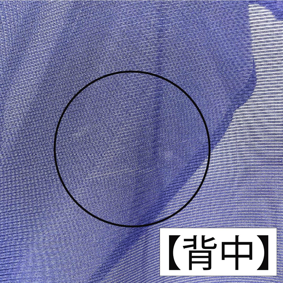 夏物 正絹 訪問着 Aランク 身丈158.5cm 裄丈62.5cm 濃桔梗色(こいききょういろ) 付下げ 秋草模様 蛍 絽 紺系 1132004703318