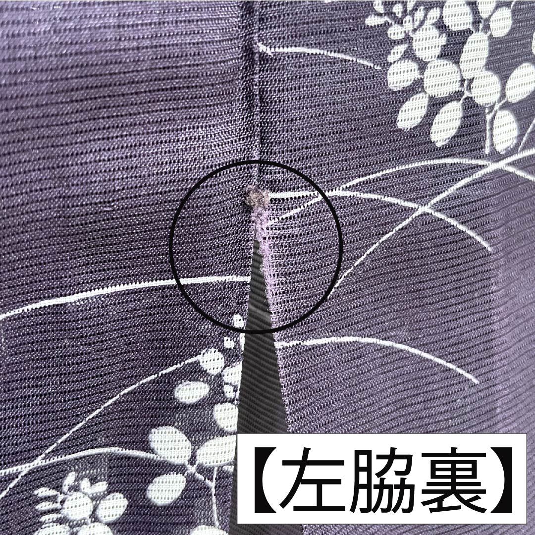 夏物 ポリエステル 小紋 身丈158cm 裄丈63cm 紫烏色(しうしょく) 露芝 草花 洗える着物 絽 Bランク 紫系 1132002044320
