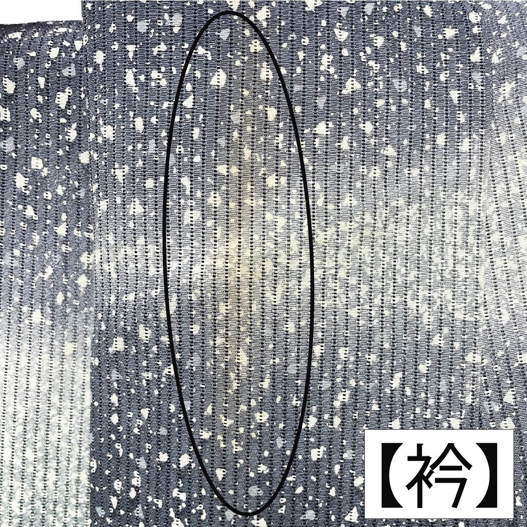 夏物 正絹 訪問着 Aランク 身丈161.5cm 裄丈66cm 浅葱鼠色(あさぎねずいろ) 竪絽 江戸小紋 タタキ染 絽 青系 1132005043417