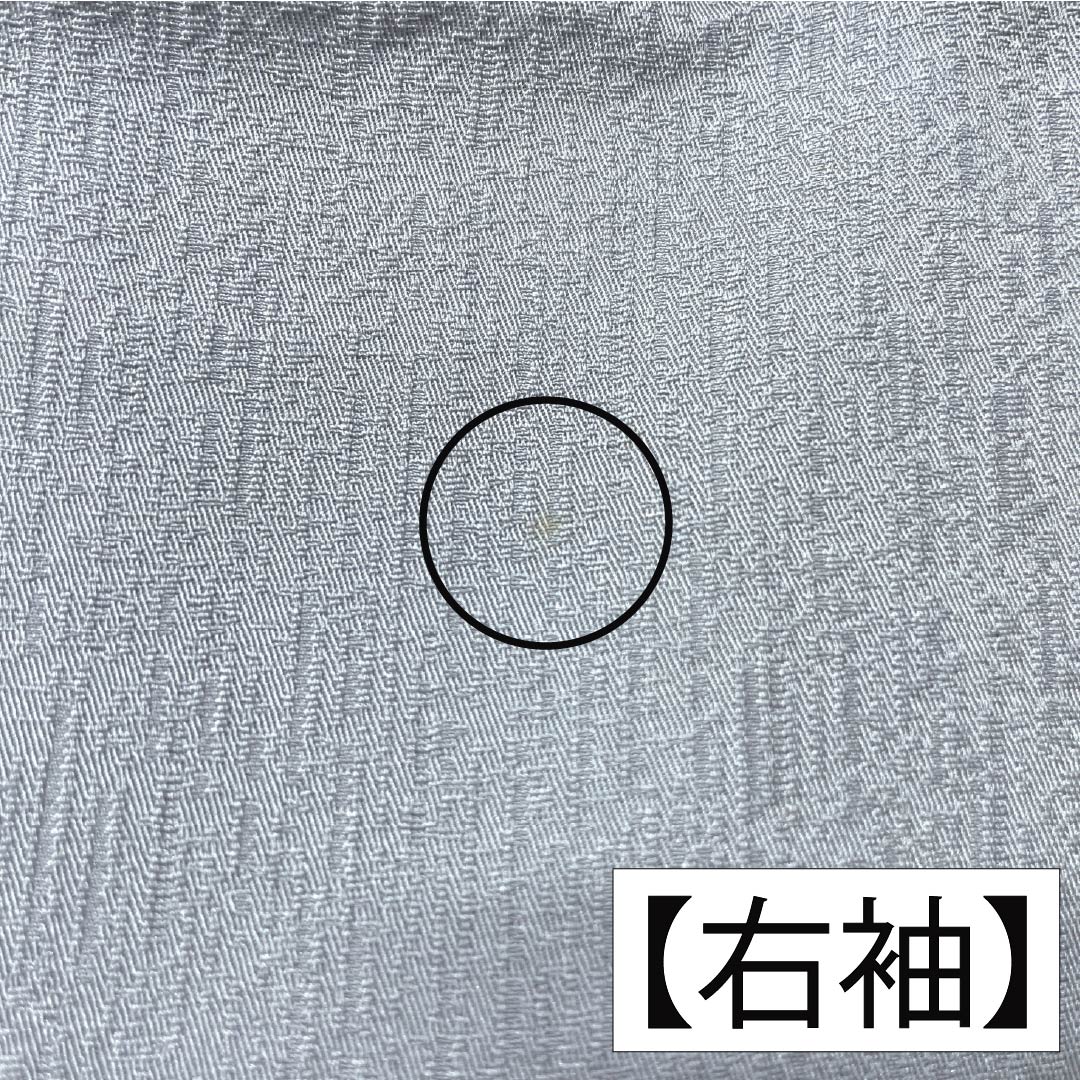 訪問着 正絹 Bランク 袷 身丈168cm 裄丈62cm 白銅色(はくどういろ) 蘇州刺繡 草花 流水 しつけ糸付き グレー系 1112007524522