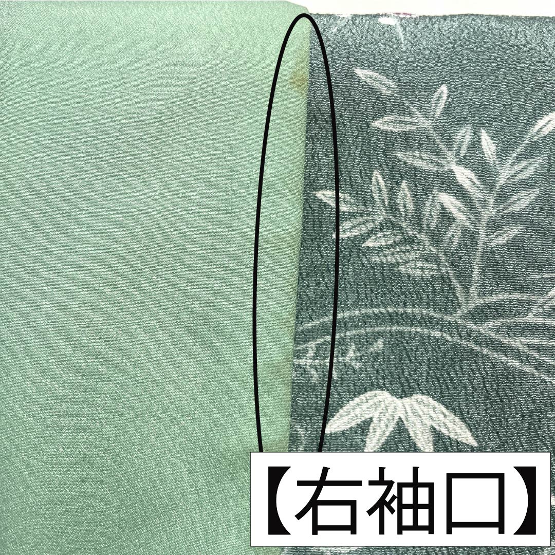 小紋 ポリエステル 身丈158.5cm 裄丈63cm 袷 山藍摺色(やまあいずりいろ) 洗える着物 草木模様 Aランク 緑系 1115005143319