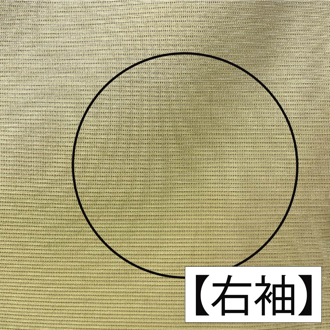 夏物 ポリエステル 色無地 Aランク 身丈162.5cm 裄丈67cm 白橡色(しろつるばみいろ) 洗える着物 素無地 絽 黄系 1132004143423