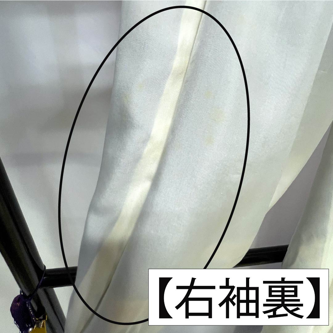 訪問着 正絹 Bランク 袷 身丈158cm 裄丈63.5cm 紺瑠璃色(こんるりいろ) 京紅型 吉祥文様 松竹梅 菖蒲 鳥 青系 1112007284317