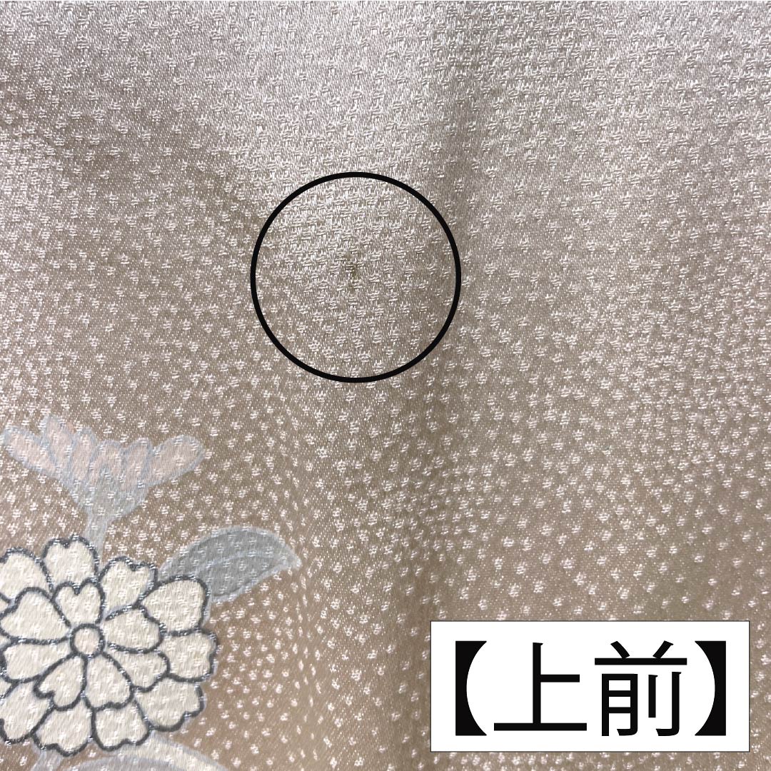 Visiting Kimono (Homongi) - Pure Silk, S-Rank, Lined, Length 158cm, Sleeve Length 63cm, Otomeiro (Girl's Color), Kyoto Yuzen Pattern, Floral Pattern, Layered Collar, Pink, Product Number: 1112006532313