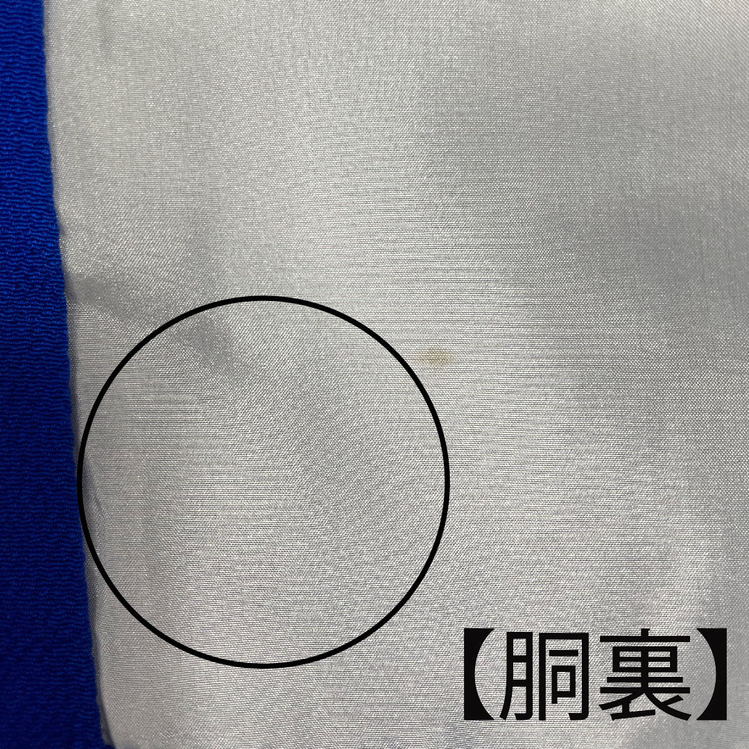 訪問着 袷 身丈163cm 裄丈68cm 瑠璃紺色 桜 菊 椿 正絹 Aランク 青系 1112001683417