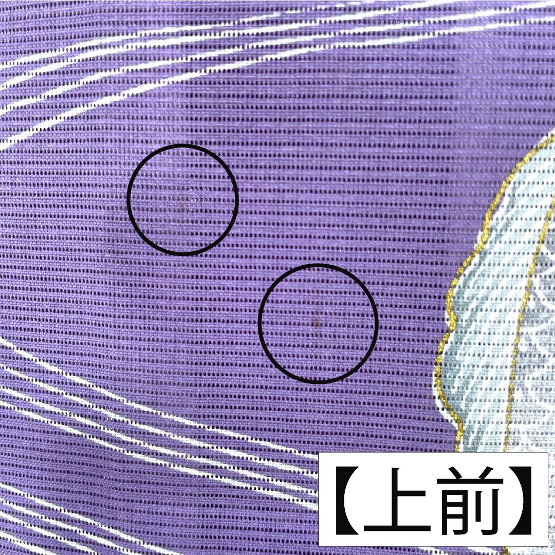 夏物 ポリエステル 訪問着 Bランク 身丈155.5cm 裄丈63cm 紫苑色(しおんいろ) 付下げ 鯉 流水 絽 紫系 1132004474320