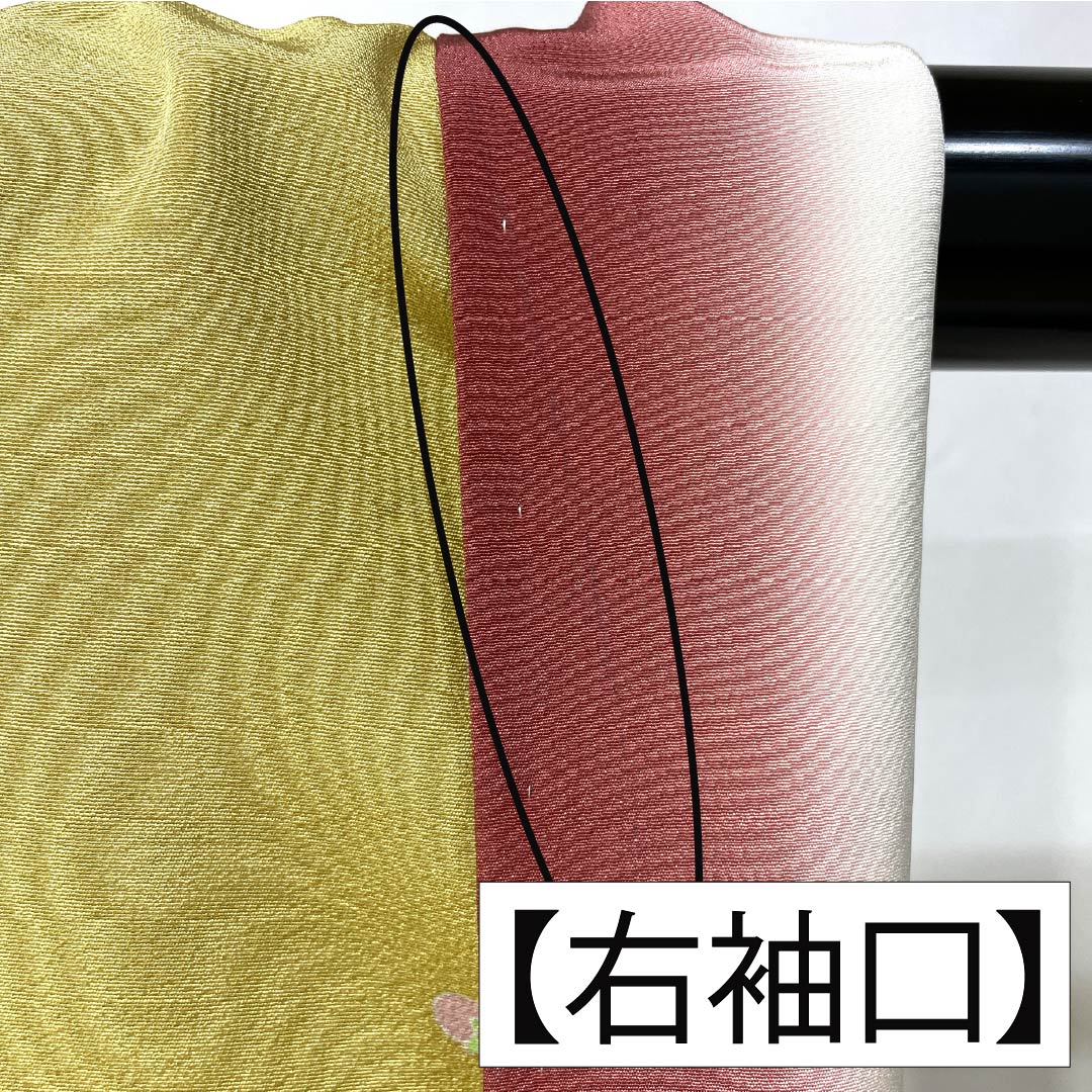訪問着 正絹 Sランク 袷 身丈149.5cm 裄丈63cm 卵色(たまごいろ) 加賀友禅 手描き 峰山 作家物 草花 黄系 1112007262123
