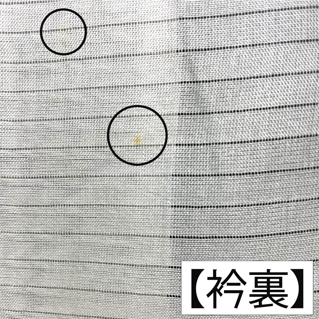 夏物 正絹 色無地 Aランク 身丈159.5cm 裄丈64.5cm 濃紺色(のうこんいろ) 草花模様 紋紗 紗 紺系 1132003723318