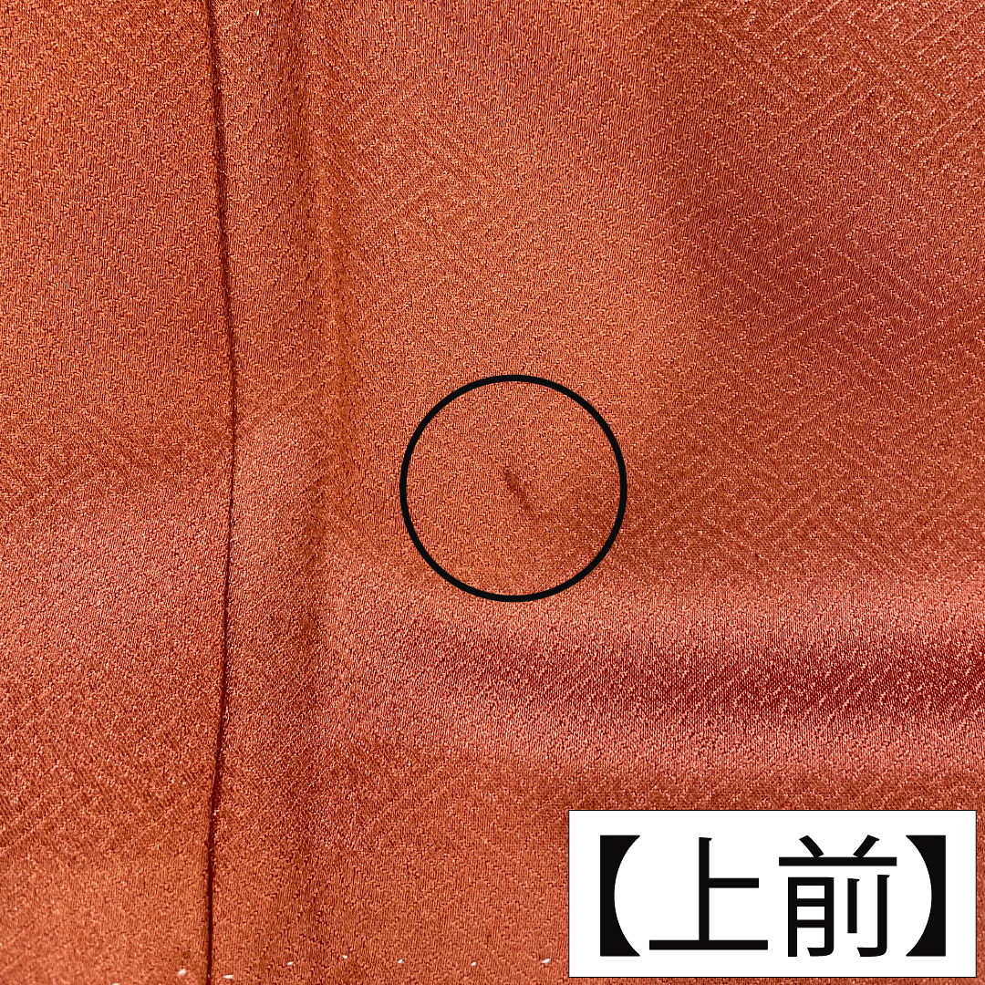 色留袖 正絹 身丈166cm 裄丈65cm 袷 紅唐色(べにとういろ) 京友禅 格天井 宝尽くし 一つ紋 左離れ立葵 Aランク 朱系 1111001563516