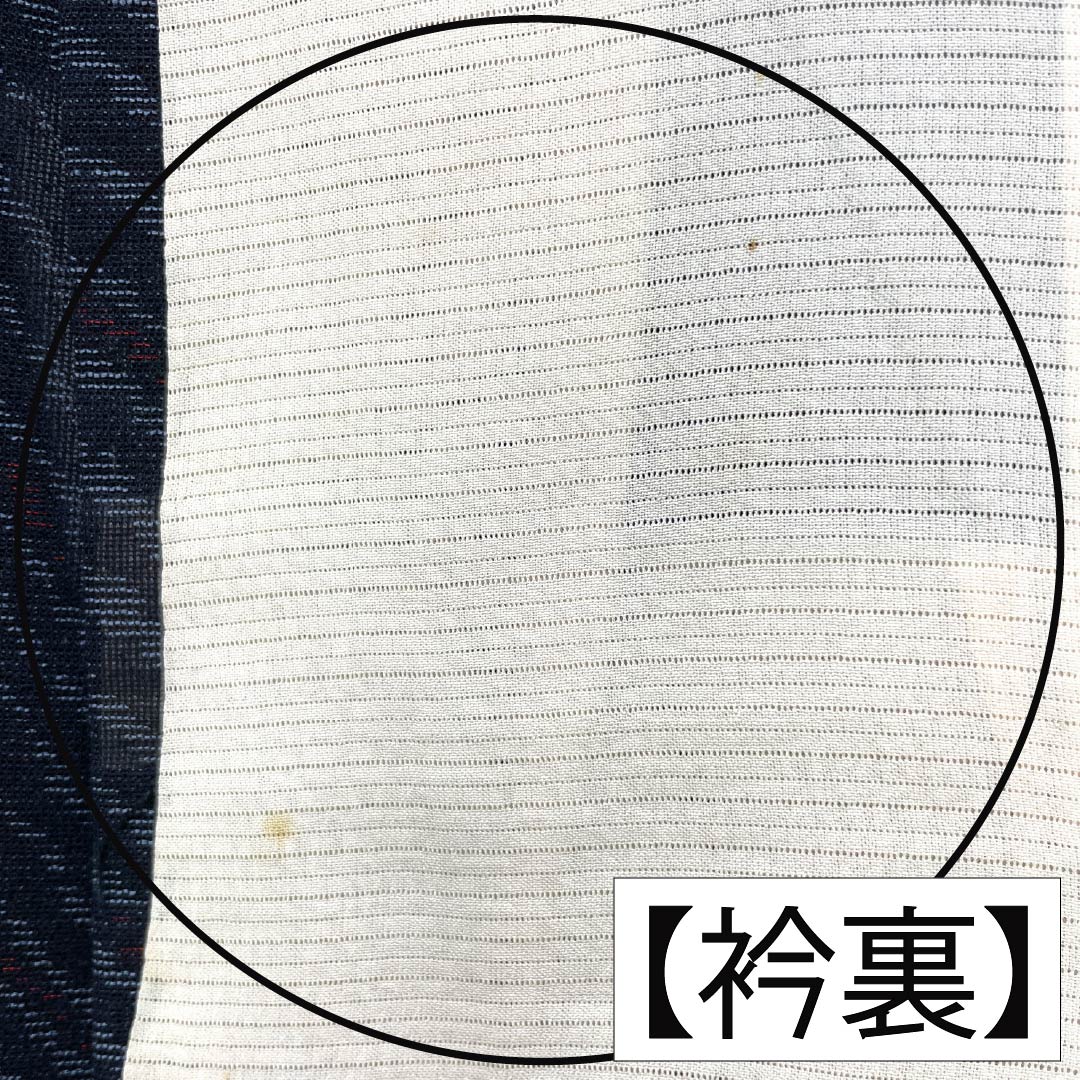 夏物 正絹 紬 Aランク 身丈156cm 裄丈67cm 抽象模様 紗 マルチカラー 1132004323328