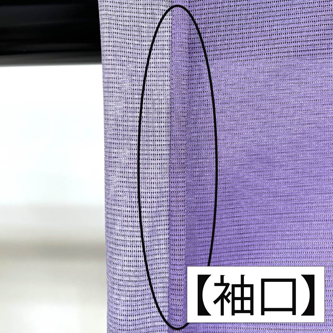 夏物 ポリエステル 訪問着 Bランク 身丈155.5cm 裄丈63cm 紫苑色(しおんいろ) 付下げ 鯉 流水 絽 紫系 1132004474320