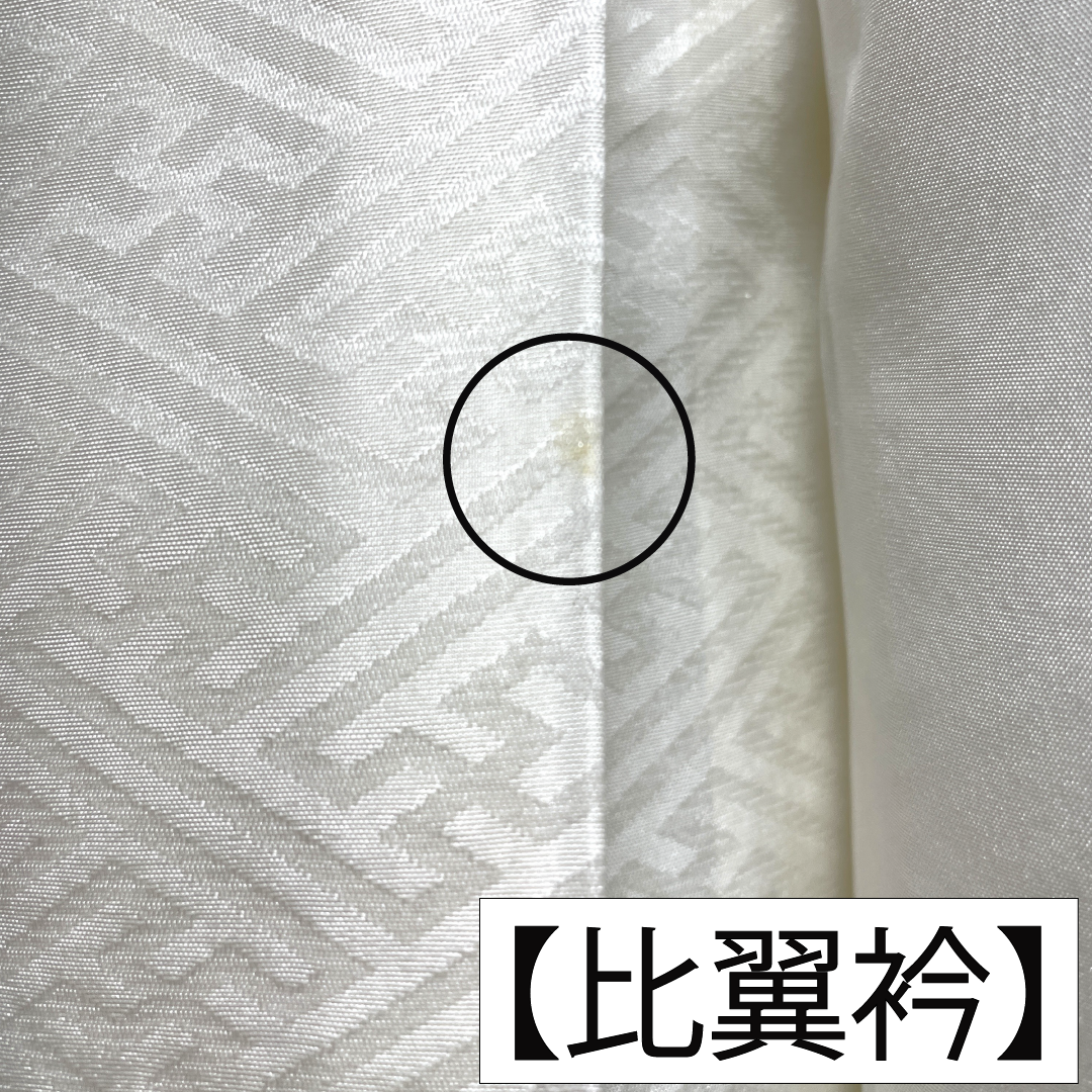 色留袖 正絹 身丈157cm 裄丈63cm 袷 白茶色(しらちゃいろ) 京友禅 作家物 銀閣寺 五つ紋 木瓜 Aランク ベージュ系 1111001553325