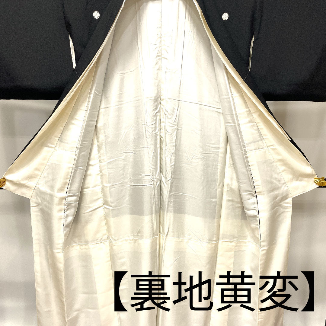 Black Tomesode, Length 155cm, Sleeve Length 61.5cm, Awase, Kyo-Yuzen, Auspicious Pattern, Circle with Sword and Clover, Pure Silk, A Rank, Five Crests, Black, 1111000913310