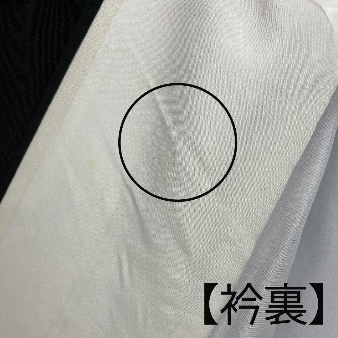 Black Tomesode, Length 155.5cm, Sleeve Length 61.5cm, Awase, Kyo-Yuzen, Crane, Katabami, Pure Silk, B Rank, Five Crests, Black, 1111000344310