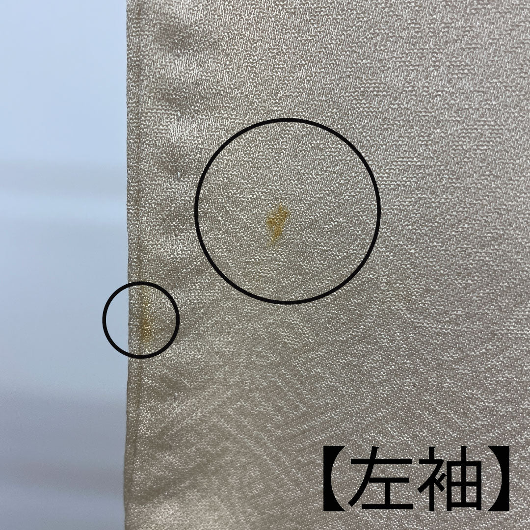 Colored Tomesode, Length 157cm, Sleeve Length 64cm, Lined, Tokyo Yuzen, Pure Silk, B Rank, Three Crests, Cream Color, 1111000284315