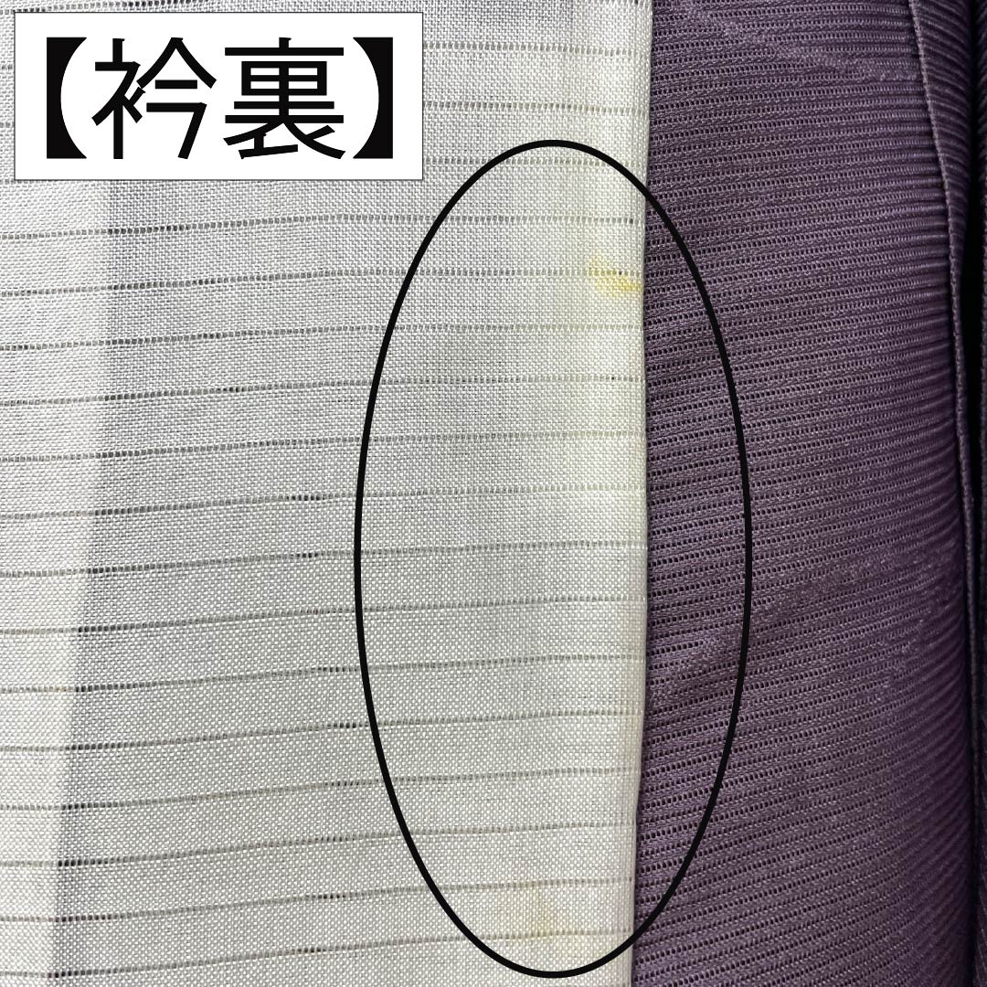 夏物 正絹 色無地 Bランク 身丈154cm 裄丈63cm 中滅紫色(なかのけしむらさきいろ) 露芝 絽 紫系 1132004464220