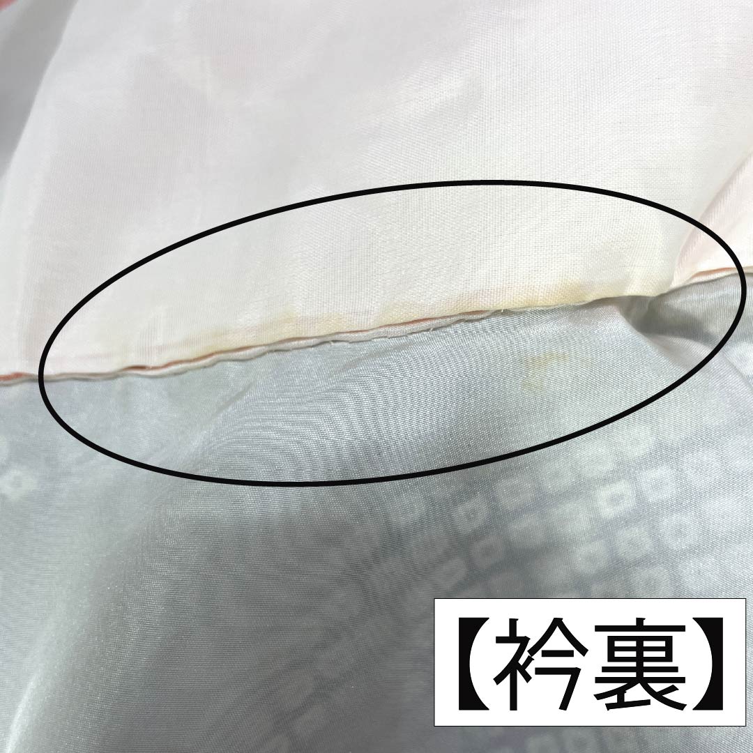 訪問着 正絹 Bランク 袷 身丈161cm 裄丈64.5cm 絞り 銀駒刺繍 重ね衿付き 紗綾形 笹 草花 モノトーン 1112007344427