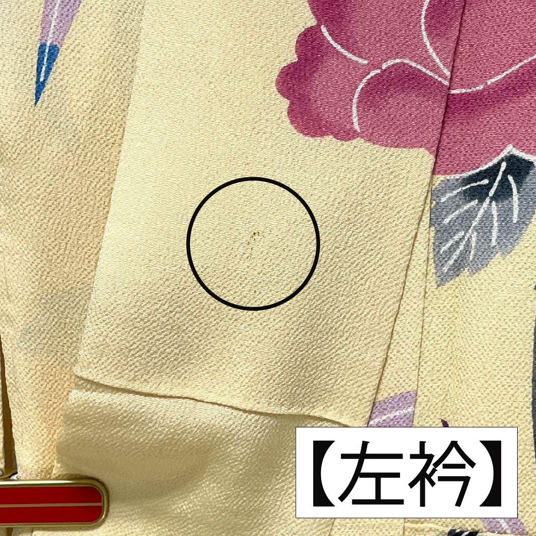 振袖 正絹 Aランク 身丈161cm 裄丈62.5cm 袷 薄柑子色(うすこうじいろ) 京紅型 牡丹 藤 ちりめん地 橙系 1113002403426