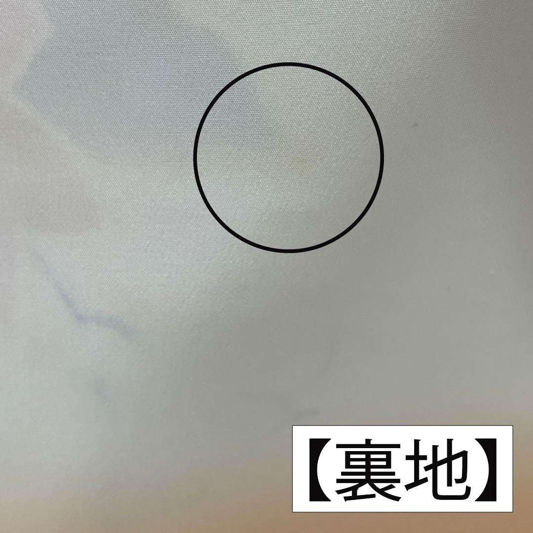 小紋 正絹 身丈160.5cm 裄丈64.5cm 袷 麴色(こうじいろ) 地紋起こし 洋花 Aランク クリーム系 1115006153415