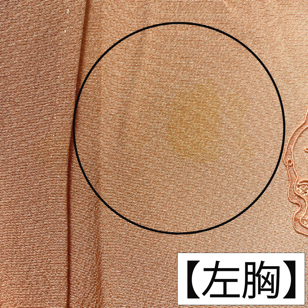 Colored Tomesode, pure silk, length 155cm, sleeve length 62.5cm, lined, Shinonome-iro (Shinonome-iro), Suzhou embroidery, auspicious motif, one crest, circle with different hawk feathers, B rank, pink, 1111001694313