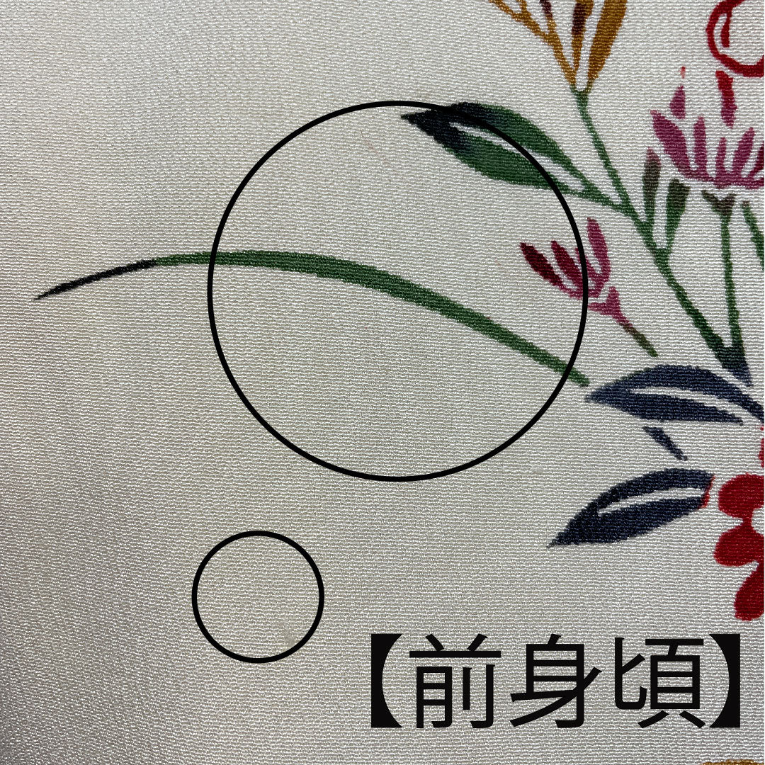 Homongi, lined, length 159cm, sleeve length 62.5cm, Torinoko color, Kyoto Bingata, floral pattern, pure silk, A rank, cream color, 1112001943315