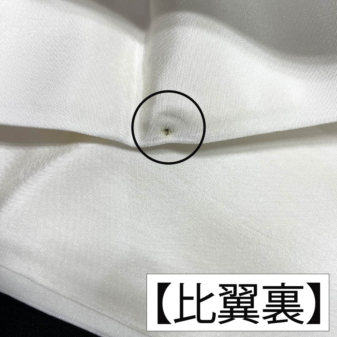 Black Tomesode (Japanese Kimono) - Pure Silk, Grade A, Length 167cm, Sleeve Length 67.5cm, Lined, Kyoto Yuzen, Five Crests, Chūin Gosan Paulownia, Crane, Pine, Hagi, Wave, Five Crests, Black, 1111002053510