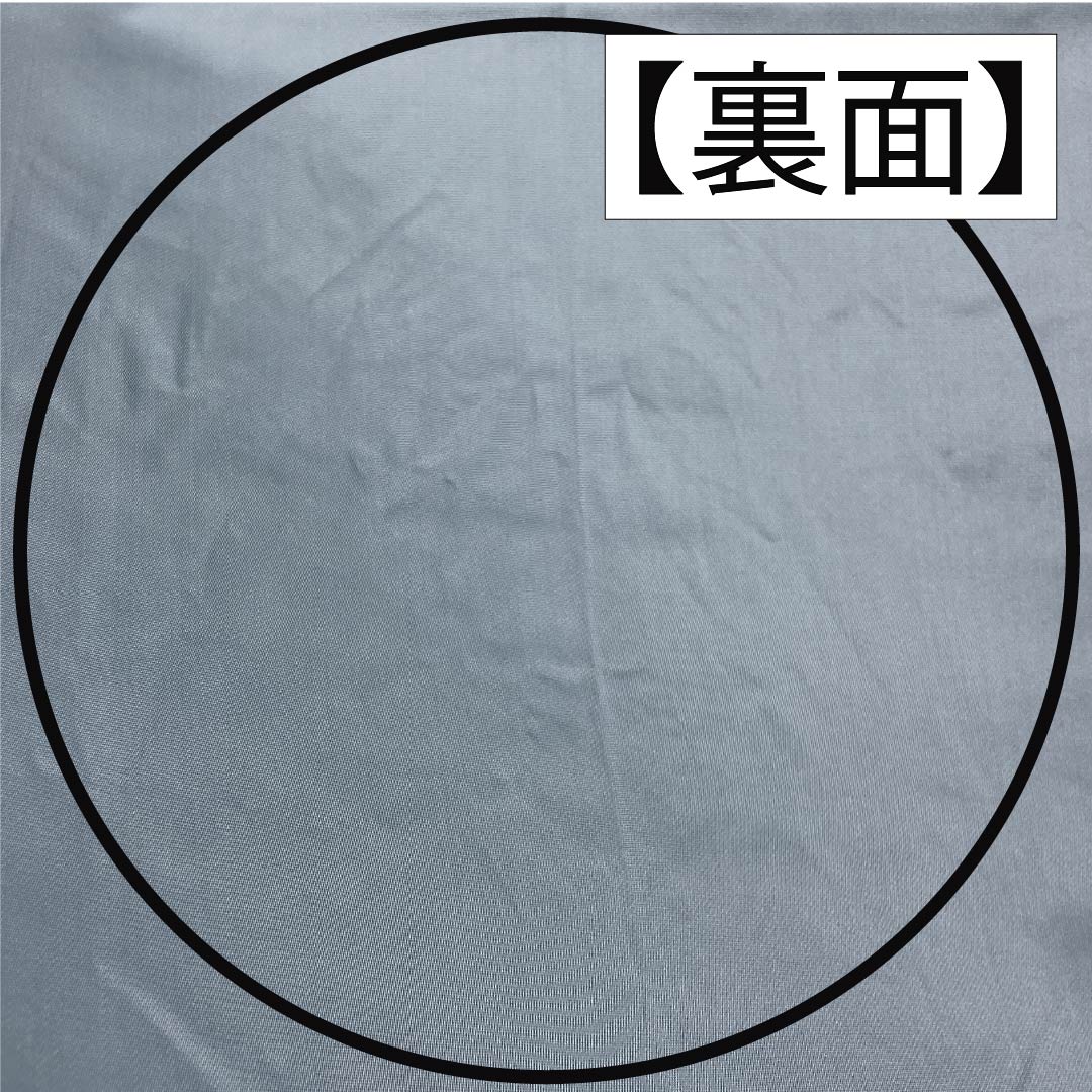 Fukuro Obi, pure silk, for Tomesode, with gold leaf, autumn wind sounds, butterfly, flute, obi length 446cm, S rank, six-way, formal, gradation style, 1123013892399