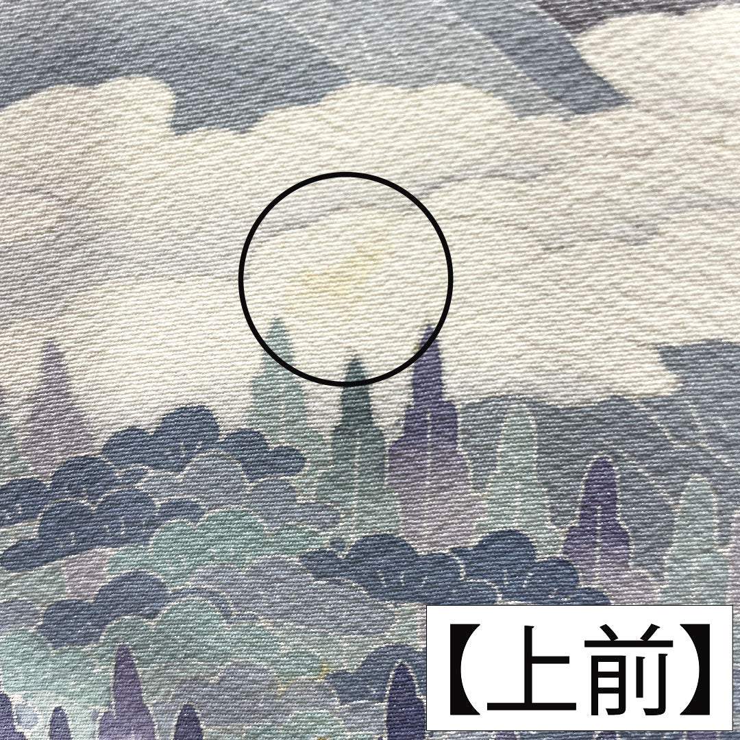 Colored Tomesode, pure silk, length 157cm, sleeve length 63.5cm, lined, tin color, landscape pattern, three crests, ivy, artist's work, Hida Takayama, pearl tone finish, A rank, gray, 1111001363322