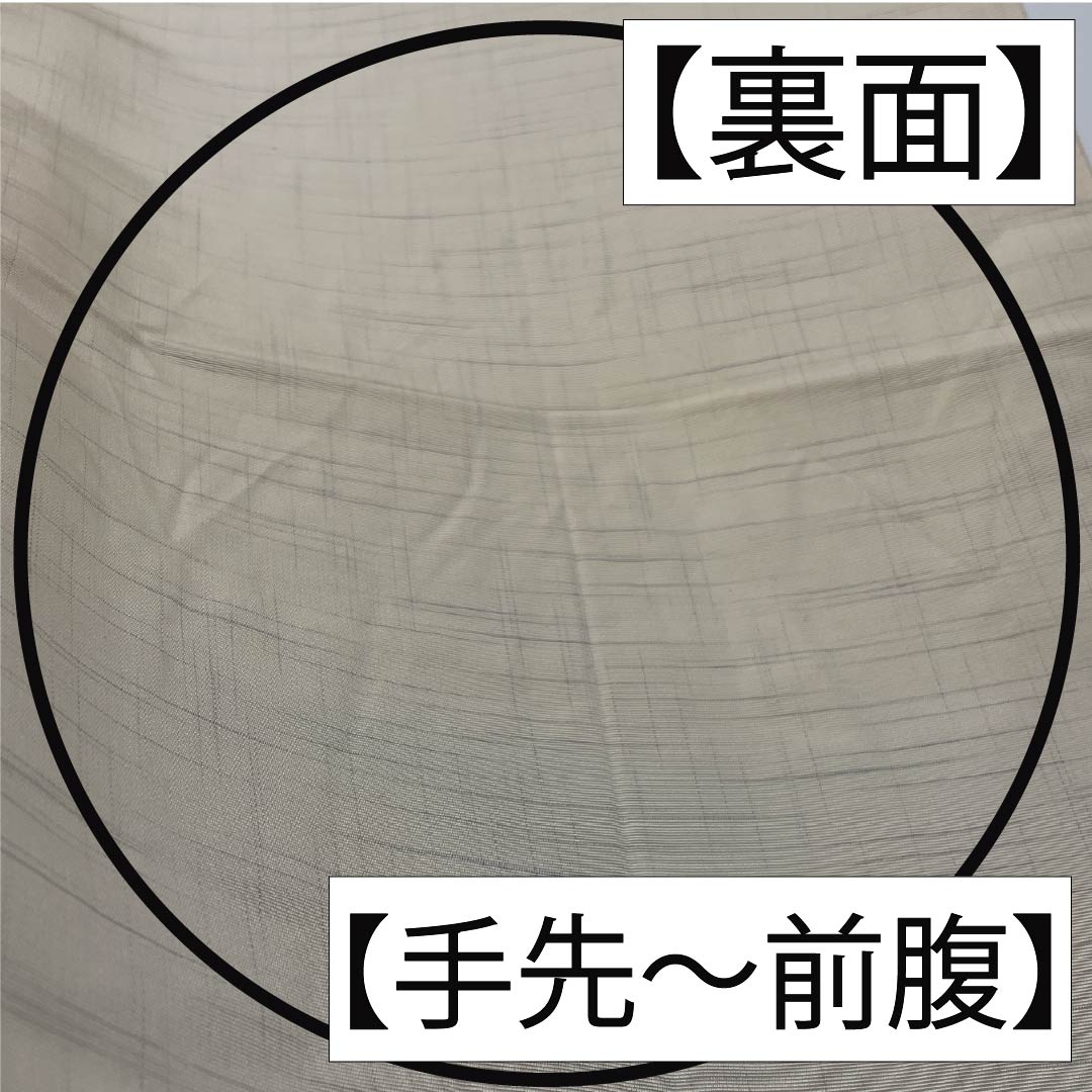 Fukuro Obi, pure silk, off-white, fish and flowers, obi length 442cm, S rank, six-pass, casual, cream-colored, 1123012522315