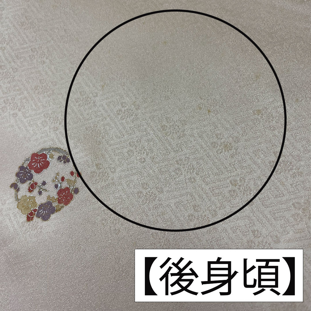 小紋 正絹 身丈162cm 裄丈64cm 袷 薄肉色(うすにくいろ) 京友禅 刺繍 Bランク クリーム系 1115004204415