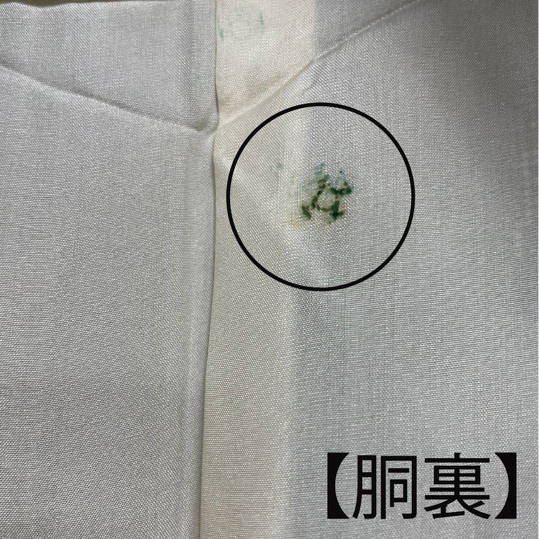 Oshima Tsumugi, Length 156.5cm, Sleeve length 64.5cm, Warp and weft ikat, Floral pattern, Pure silk, A rank, Lined, Green, 1116001853319