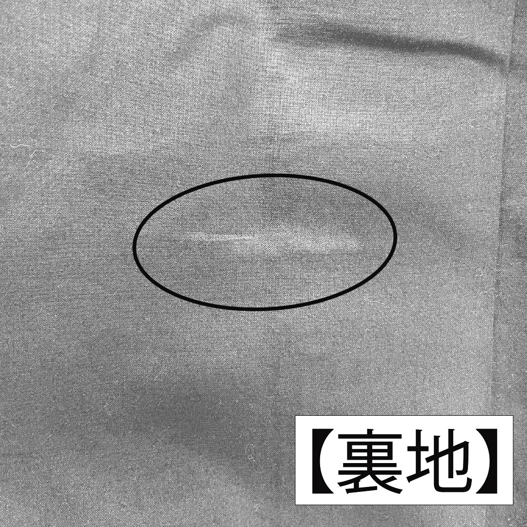 Men's Silk S-Rank Oshima Tsumugi 100 Tortoiseshell Ensemble, Lined, Blue, Length 141cm, Sleeve Length 67.5cm, Back Color (Urai-iro), Product Code: 1119001392417