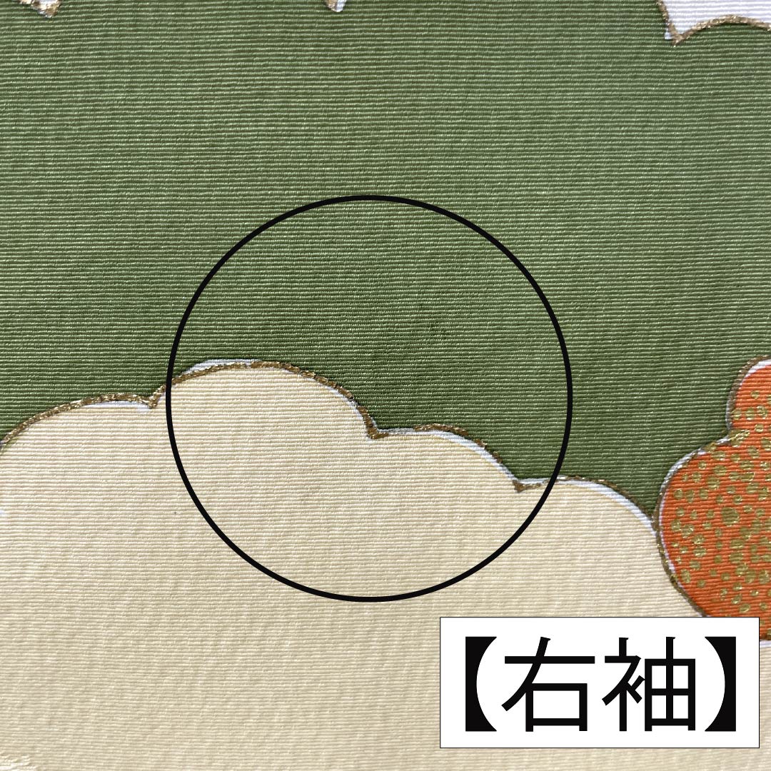 訪問着 正絹 Aランク 袷 身丈157.5cm 裄丈62cm 乳白色(にゅうはくしょく) 京友禅 雲取り しつけ糸付き 白系 1112006563311