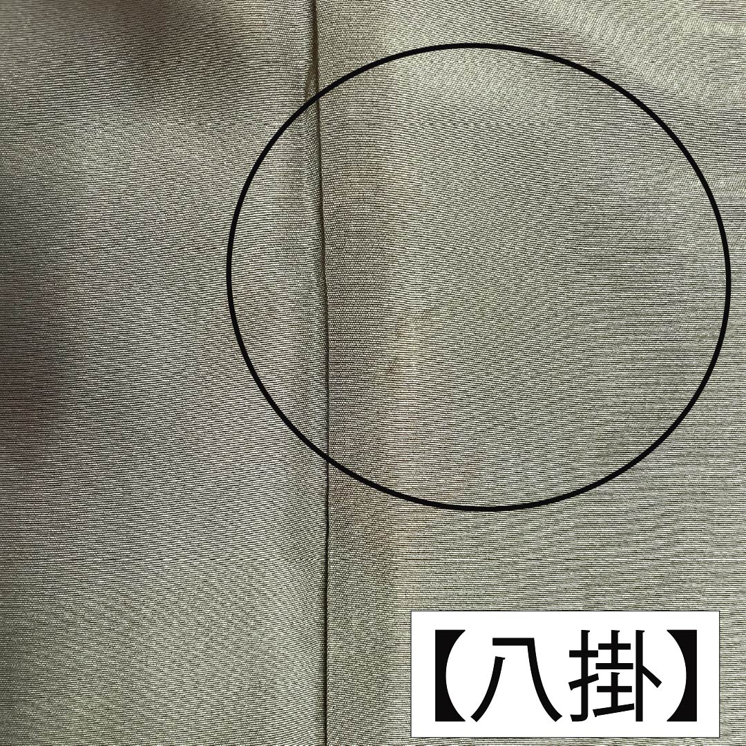 訪問着 正絹 Aランク 袷 身丈156cm 裄丈66cm 岩井茶色(いわいちゃいろ) 付下げ すくい織 紬地 作家物 野菜 緑系 1112007803319