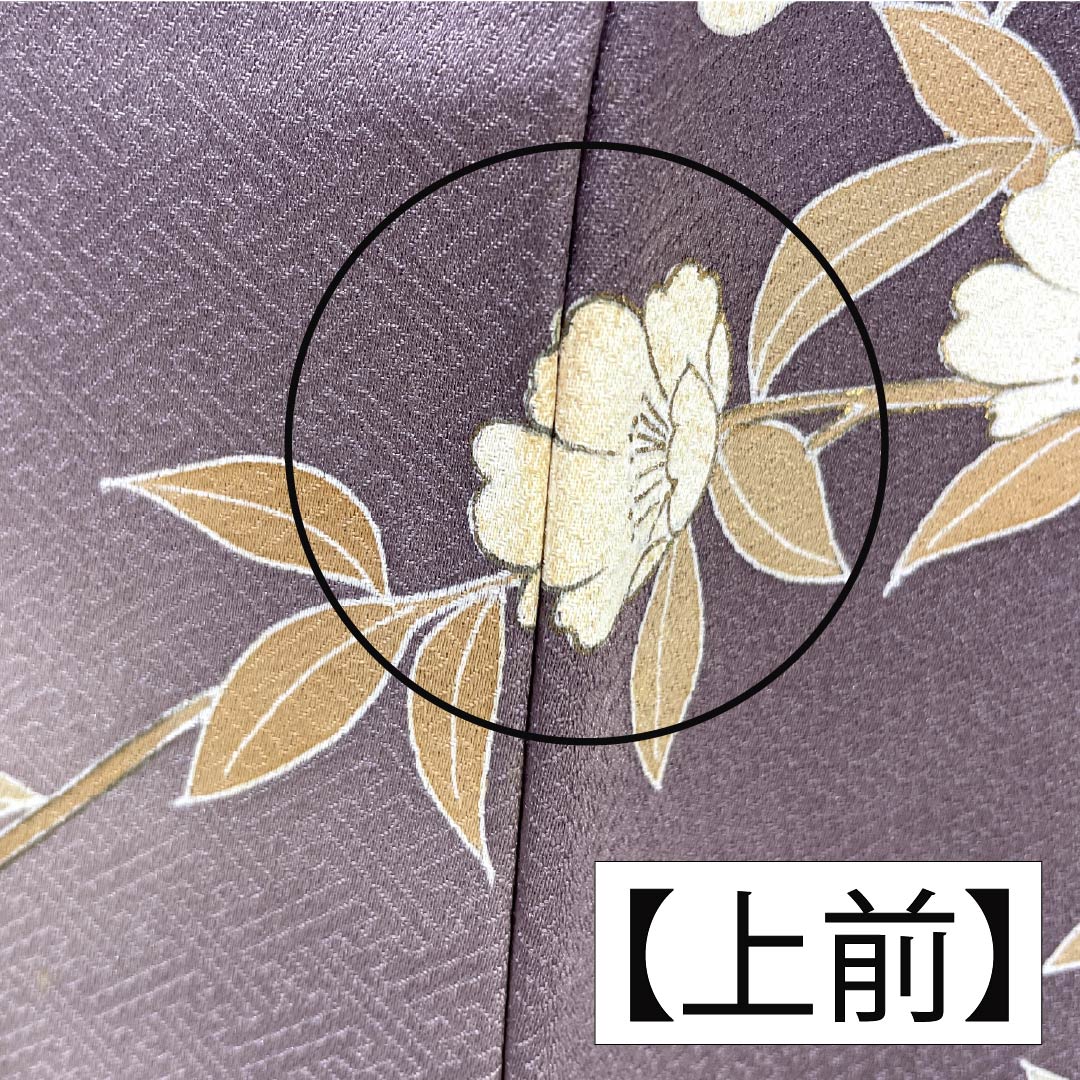 Formal kimono, pure silk, rank B, lined, length 164cm, sleeve to sleeve 64.5cm, reddish gray, Kyo-Yuzen, one crest, plants, purple tones, 1112007044420