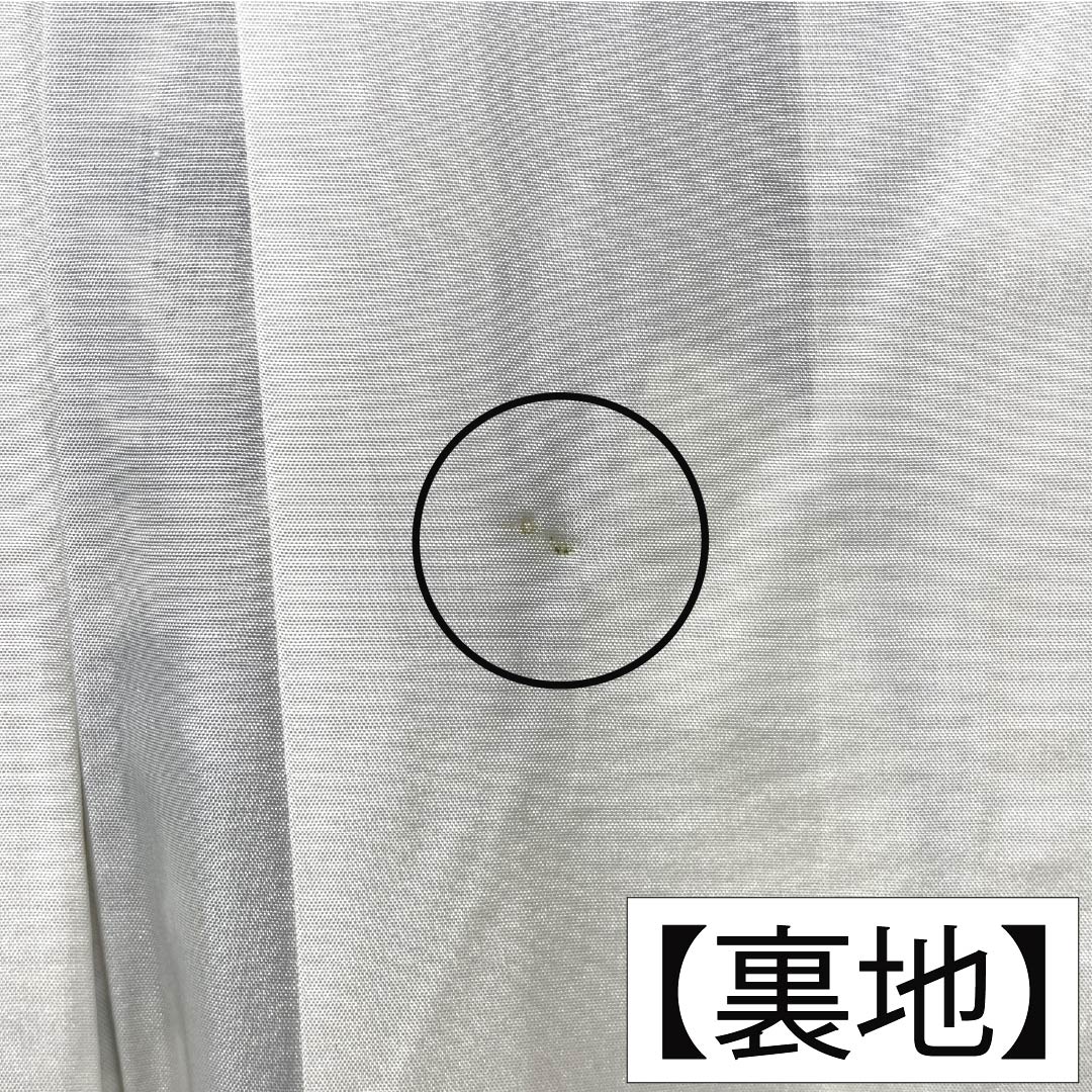 紬 正絹 Aランク 身丈159.5cm 裄丈62.5cm 白大島 7マルキ 一元 竹 袷 白系 1116005113311