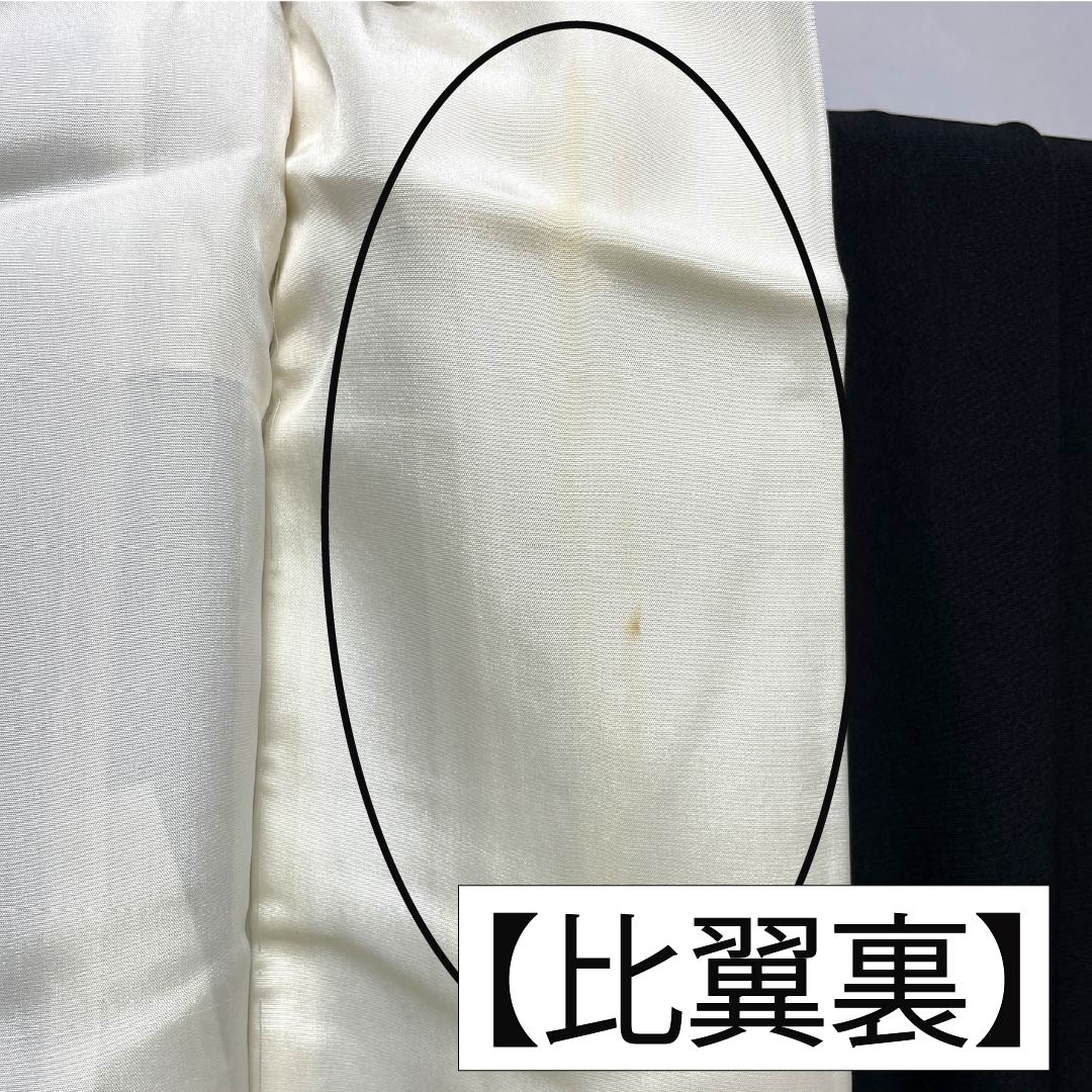 Black Tomesode (Japanese Kimono) - Pure Silk, Grade A, Length 167cm, Sleeve Length 67.5cm, Lined, Kyoto Yuzen, Five Crests, Chūin Gosan Paulownia, Crane, Pine, Hagi, Wave, Five Crests, Black, 1111002053510