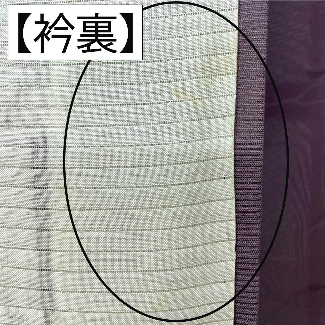 夏物 正絹 色無地 Bランク 身丈154cm 裄丈63cm 中滅紫色(なかのけしむらさきいろ) 露芝 絽 紫系 1132004464220