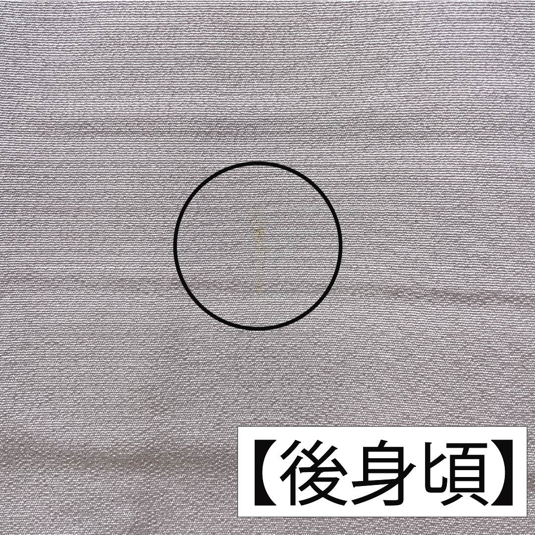 色留袖 正絹 Aランク 身丈157.5cm 裄丈62cm 袷 桜色(さくらいろ) 一つ紋 下り藤 京友禅 風景模様 作家物 しつけ糸付き 一つ紋 ピンク系 1111002003313