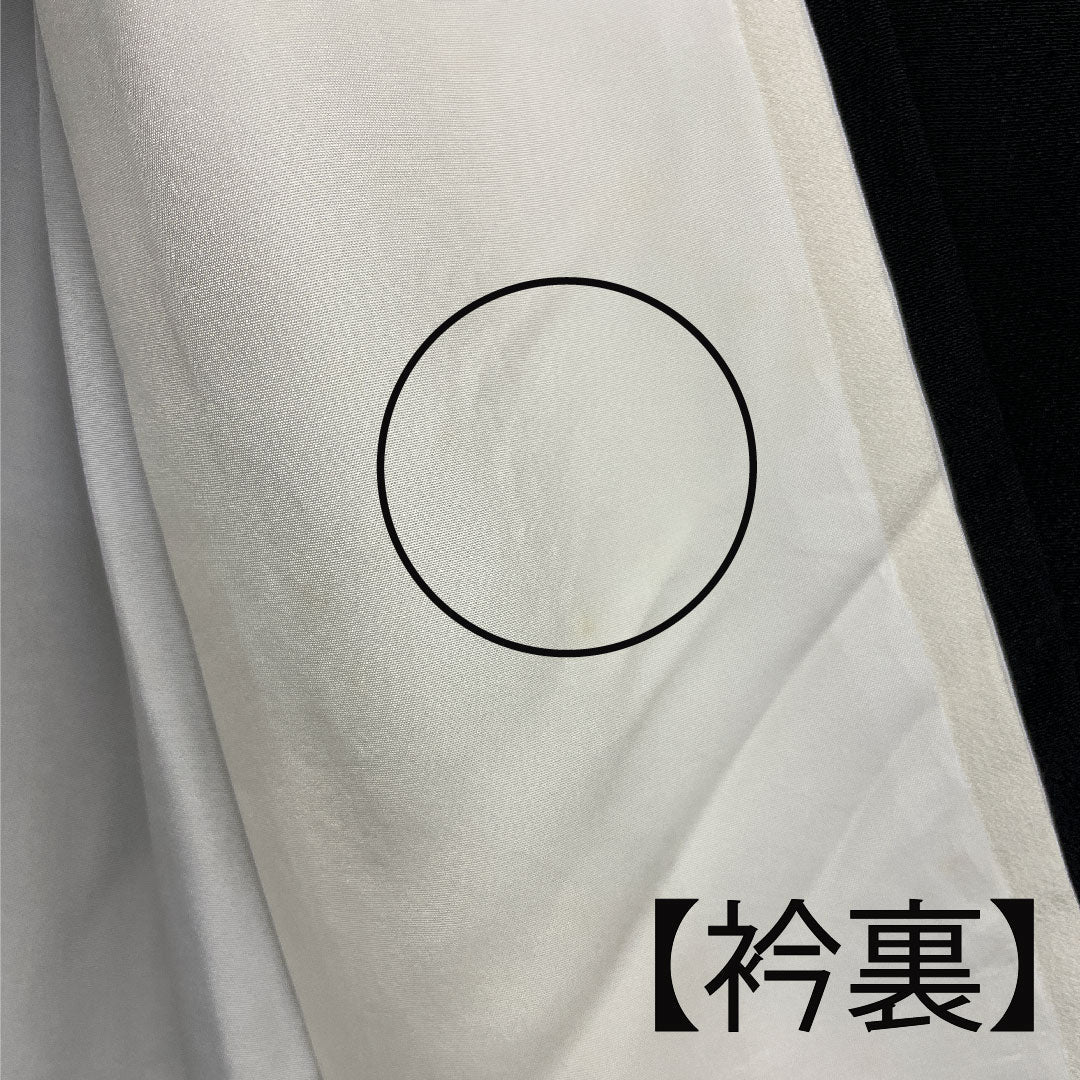 Black Tomesode, Length 155.5cm, Sleeve Length 61.5cm, Awase, Kyo-Yuzen, Crane, Katabami, Pure Silk, B Rank, Five Crests, Black, 1111000344310