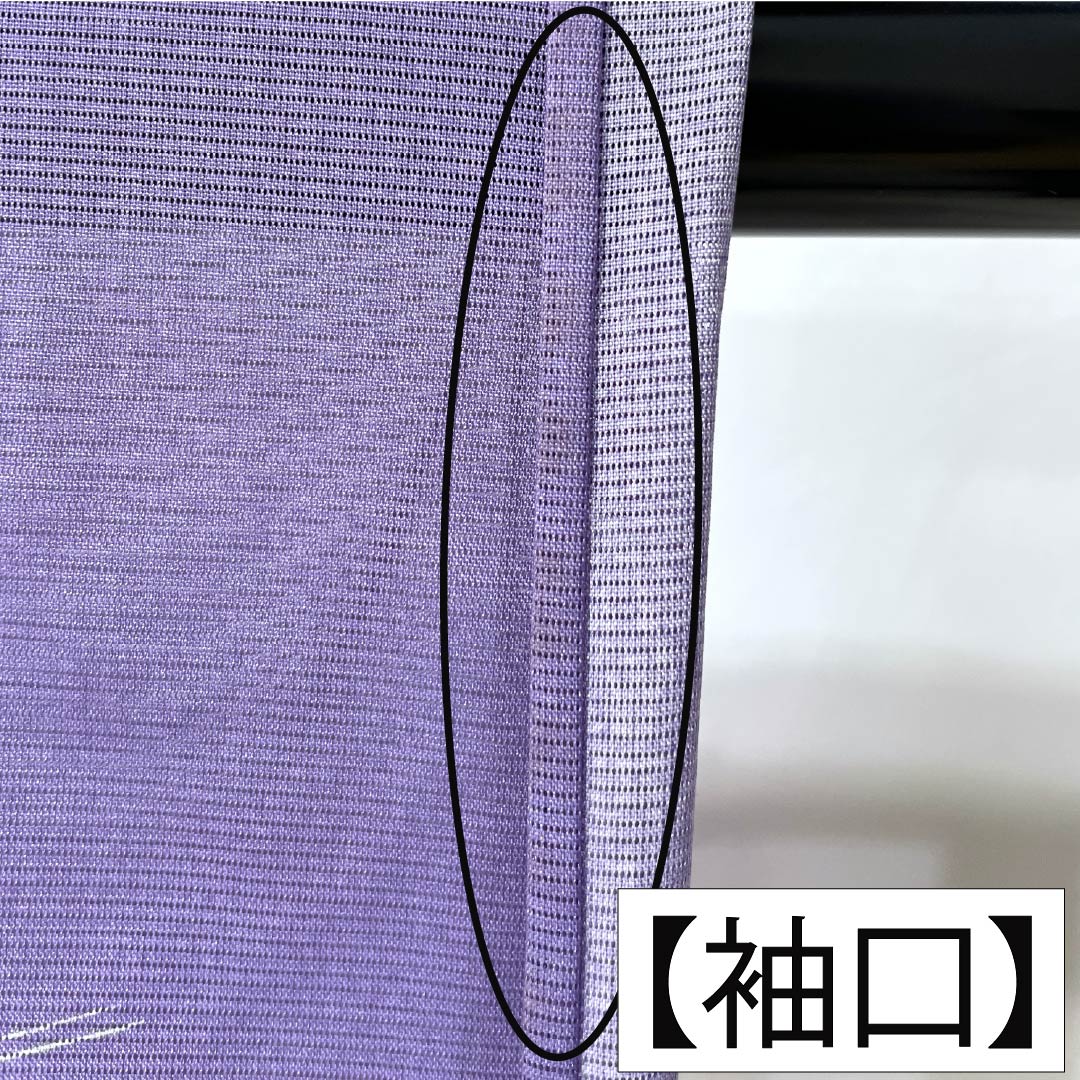 夏物 ポリエステル 訪問着 Bランク 身丈155.5cm 裄丈63cm 紫苑色(しおんいろ) 付下げ 鯉 流水 絽 紫系 1132004474320