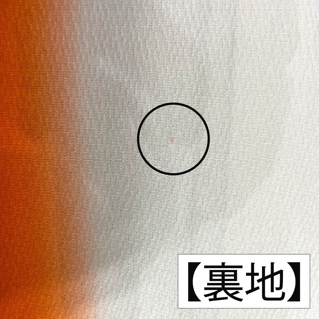 振袖 正絹 Aランク 身丈176.5cm 裄丈66cm 袷 薄柑子色(うすこうじいろ) 京紅型 吉祥文様 桜 牡丹 橙系 1113002343826