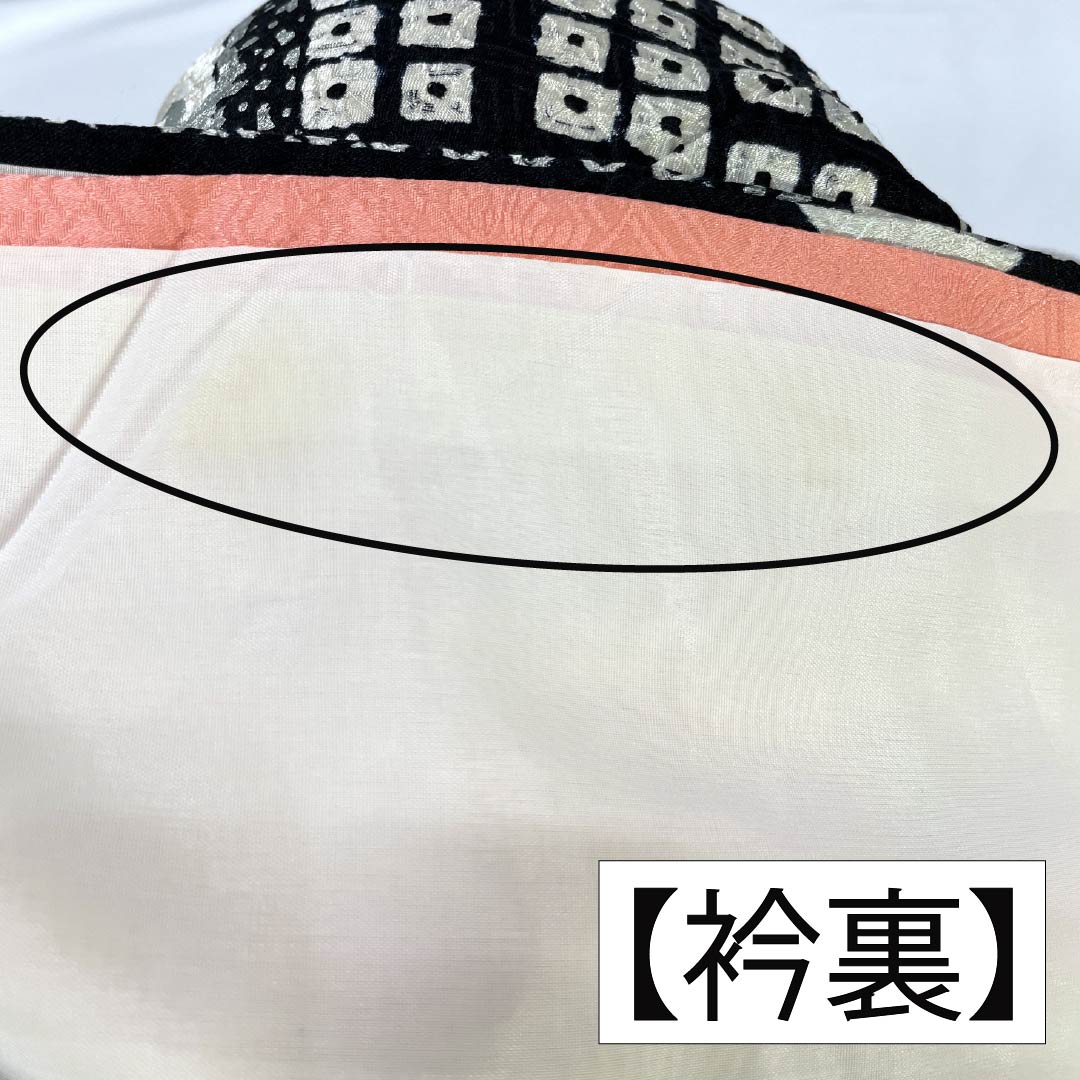 訪問着 正絹 Bランク 袷 身丈161cm 裄丈64.5cm 絞り 銀駒刺繍 重ね衿付き 紗綾形 笹 草花 モノトーン 1112007344427
