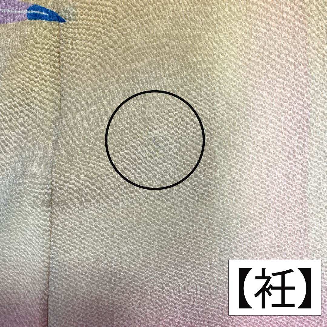 振袖 正絹 Aランク 身丈161cm 裄丈62.5cm 袷 薄柑子色(うすこうじいろ) 京紅型 牡丹 藤 ちりめん地 橙系 1113002403426