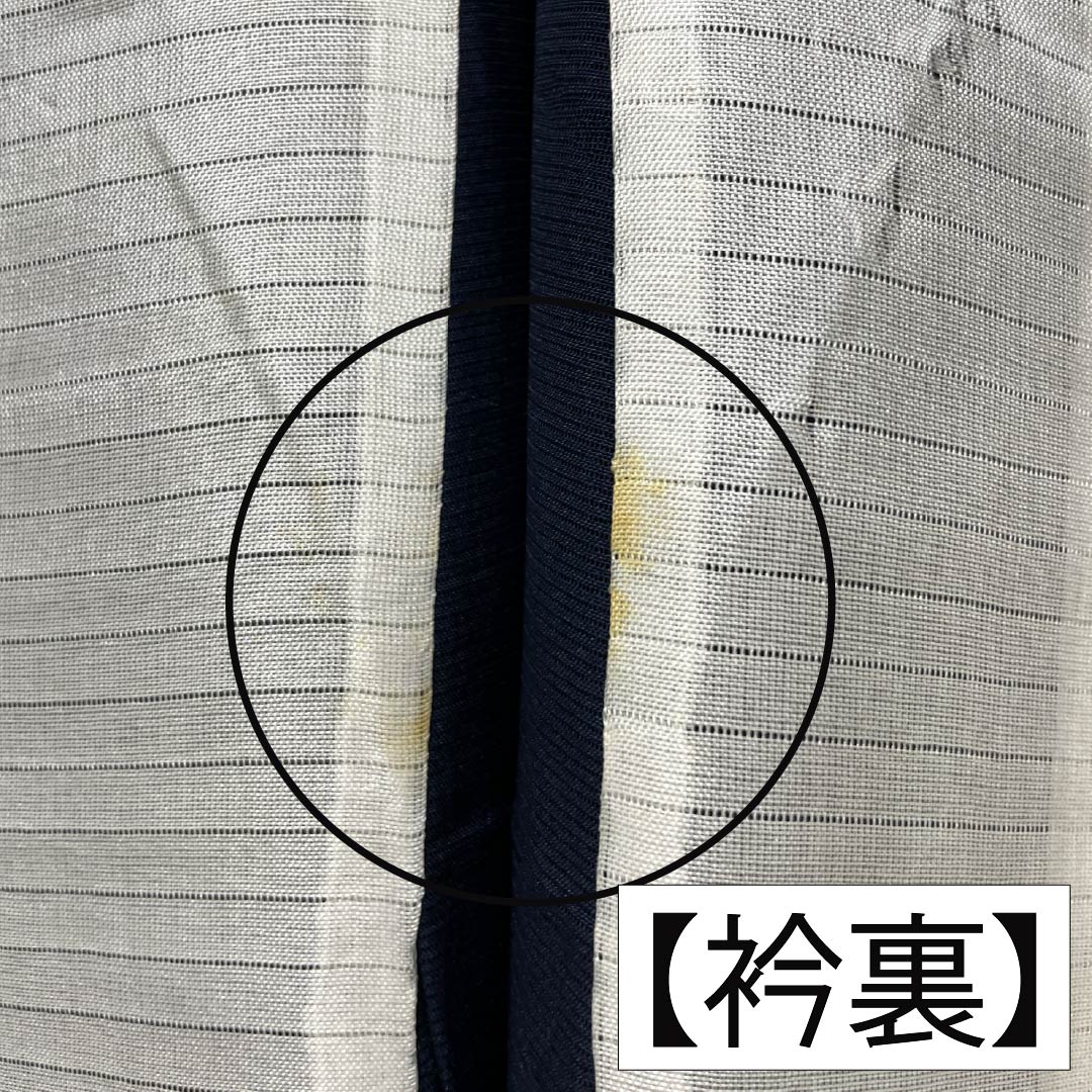 夏物 正絹 色無地 Aランク 身丈159.5cm 裄丈64.5cm 濃紺色(のうこんいろ) 草花模様 紋紗 紗 紺系 1132003723318