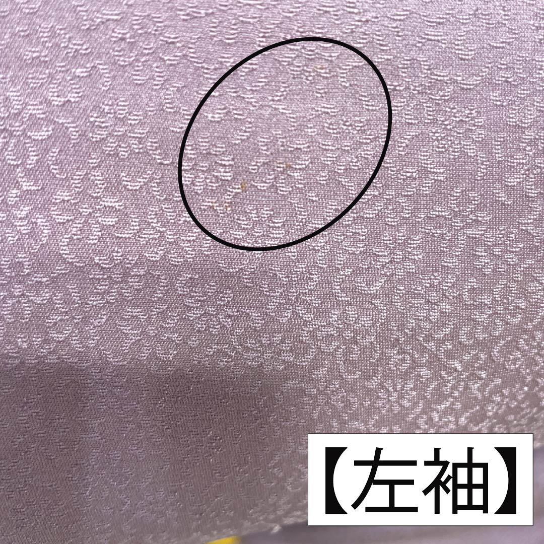 訪問着 正絹 Bランク 袷 身丈165.5cm 裄丈67.5cm 淡紅藤色(うすべにふじいろ) 付下げ 草花 紫系 1112007404520